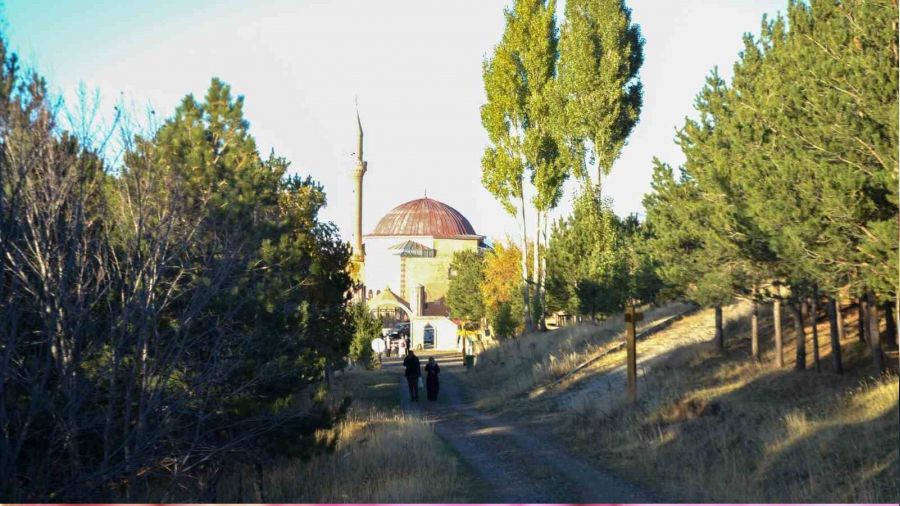 Erzurum'da ormanlık alanlara girişler yasaklandı