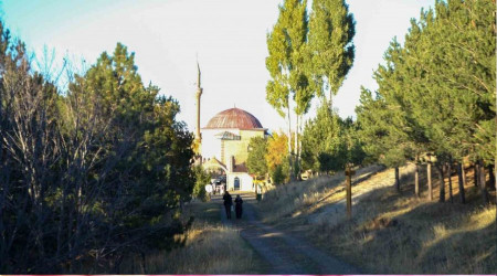 Erzurum'da ormanlık alanlara girişler yasaklandı