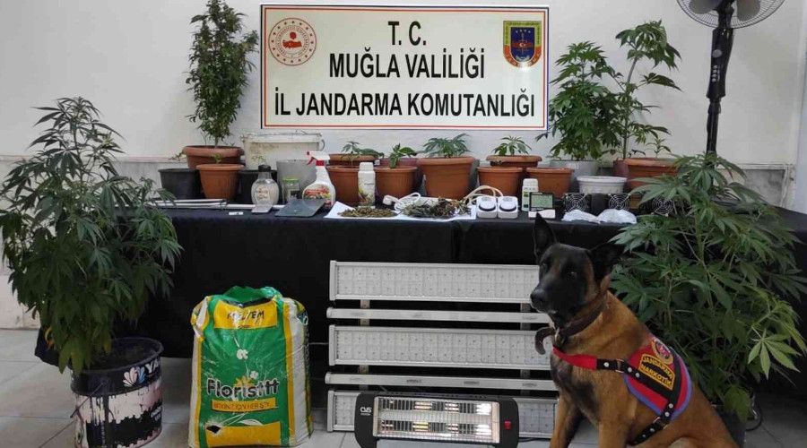 Evini uyuşturucu imalathanesine çevirmiş