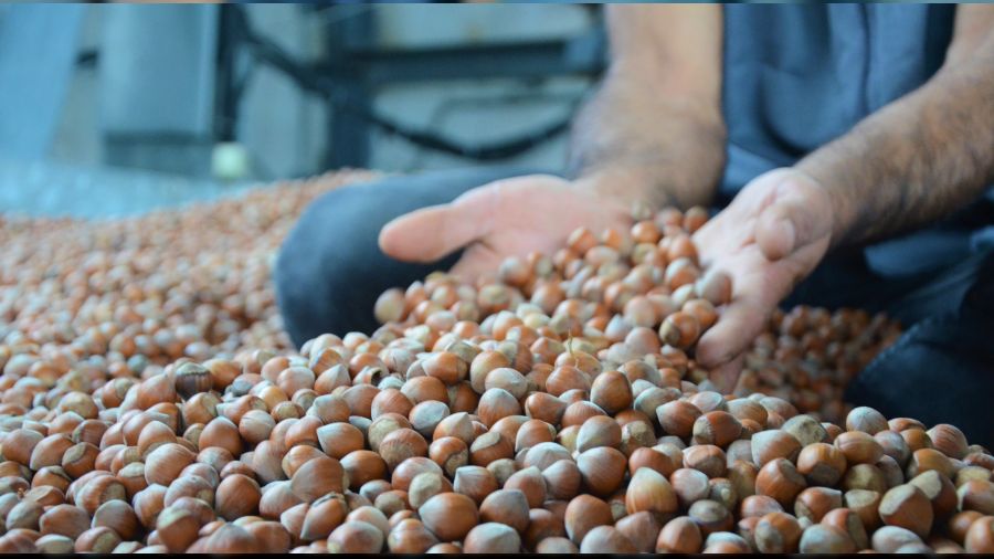 F�nd�k ihracat�nda �ok d����