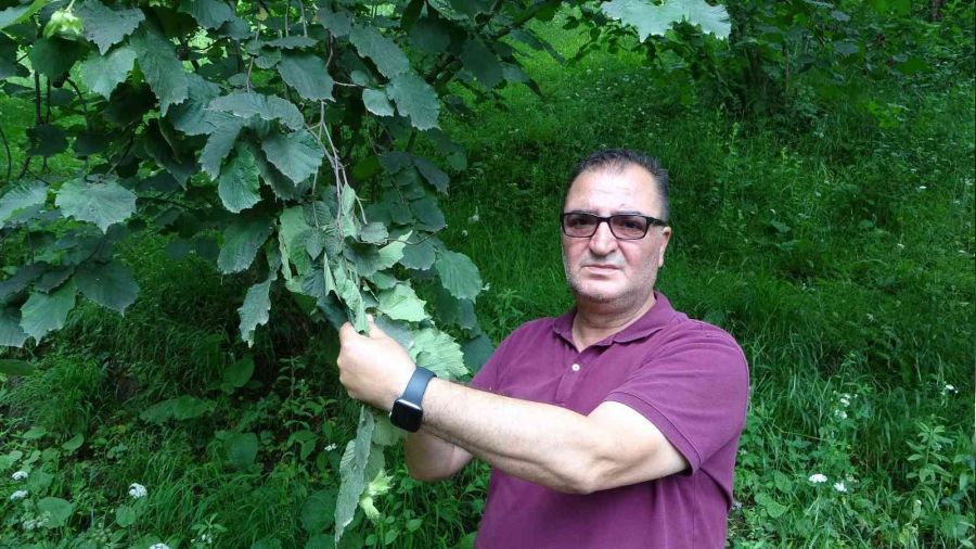 F�nd�k �reticisinin 'drakula' sevinci