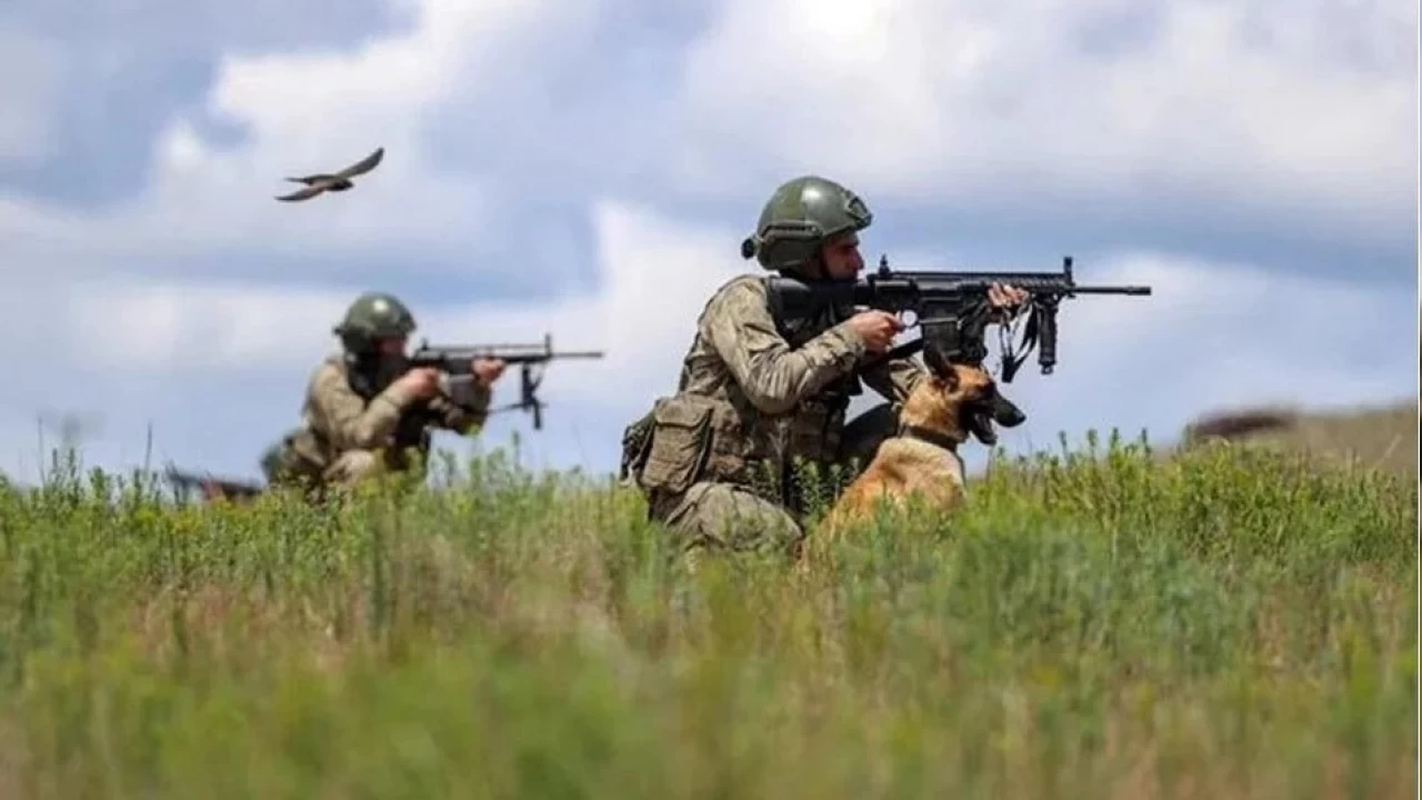 Fırat Kalkanı bölgesinde 3 terörist etkisiz hale getirildi