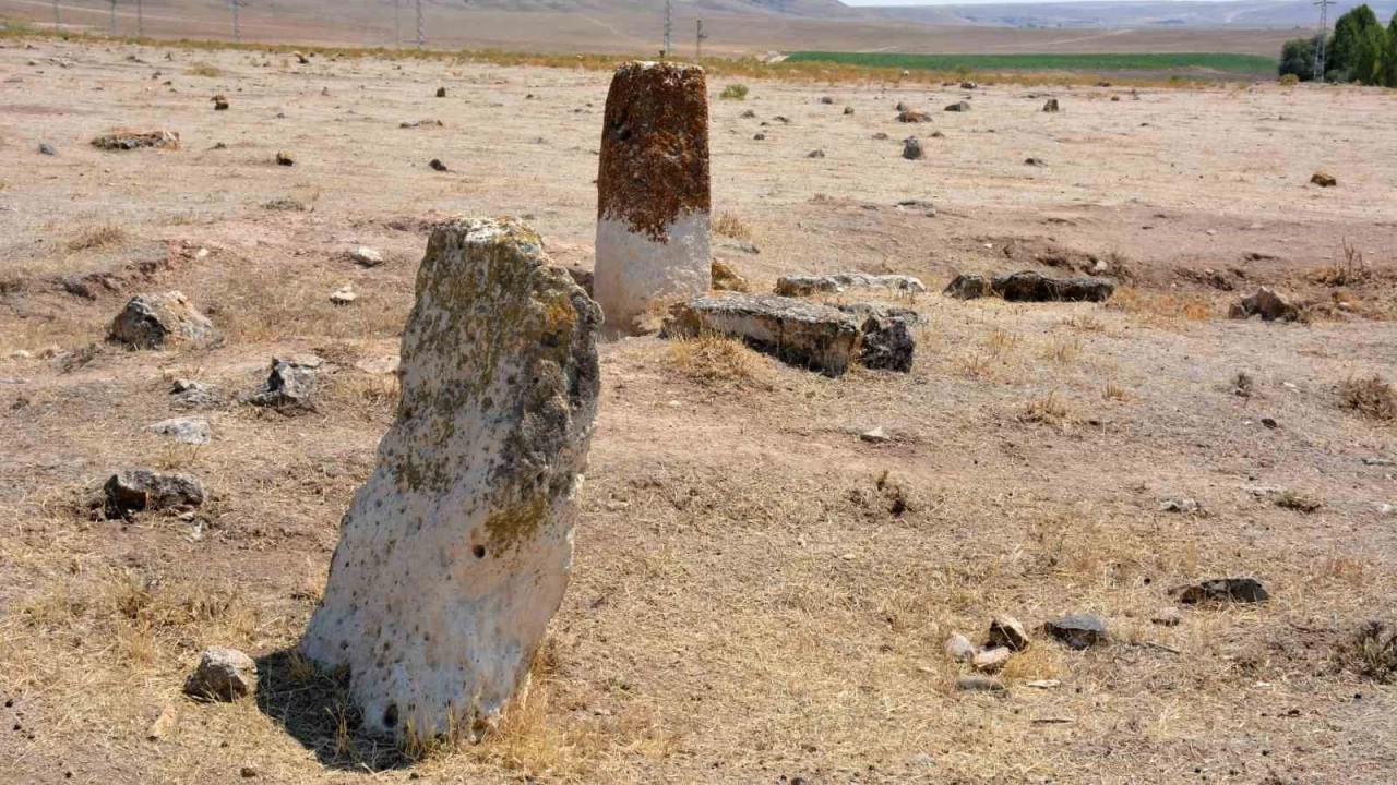 Gazi bal�klar yok olma tehditi alt�nda