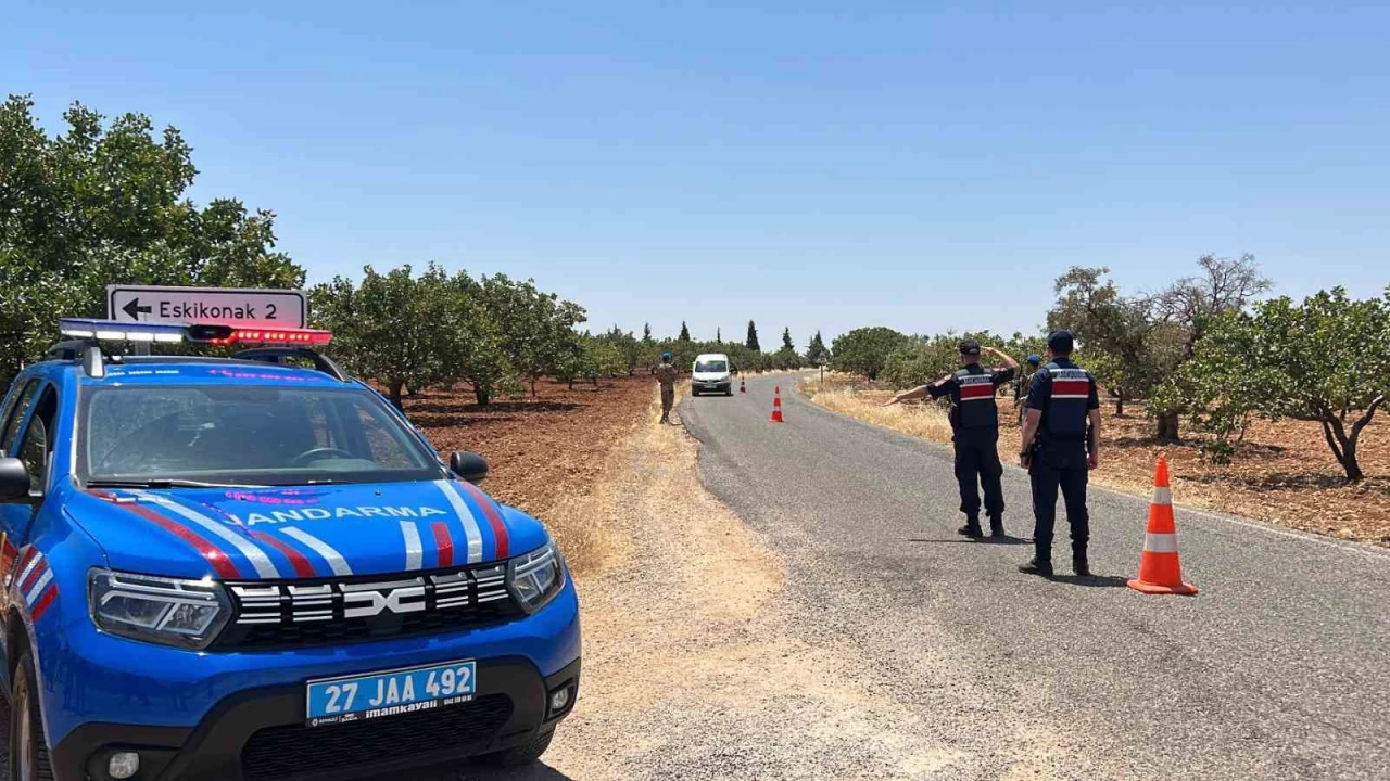 Gaziantep'te jandarma ekipleri 'ye�il alt�n' i�in n�bette