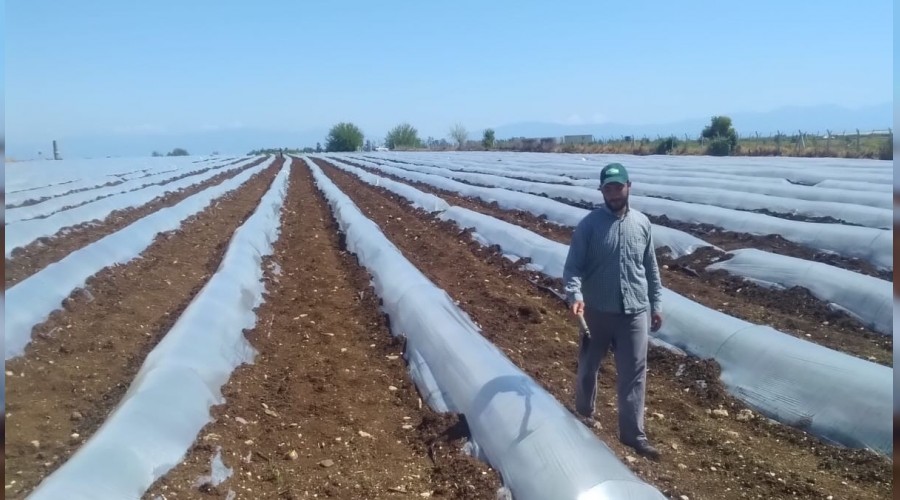 Güvenli gıda için tedbirler alınıyor