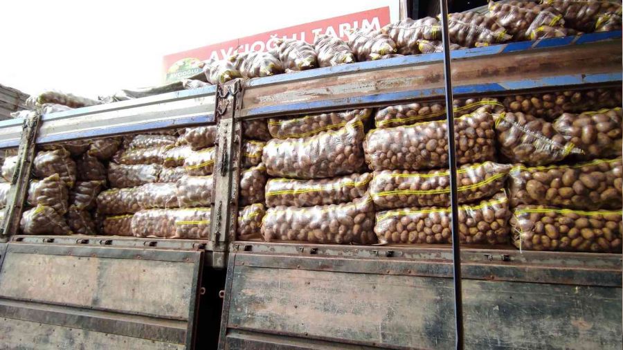 Halde patates ve soğan bolluğu