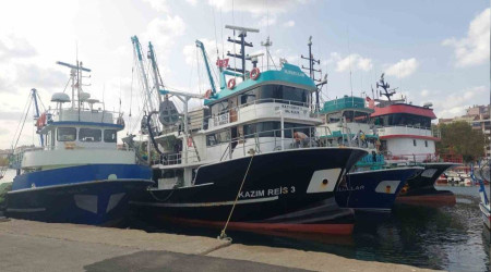 Hamsi bolluğu tayfaları Marmara'ya akın ettirdi