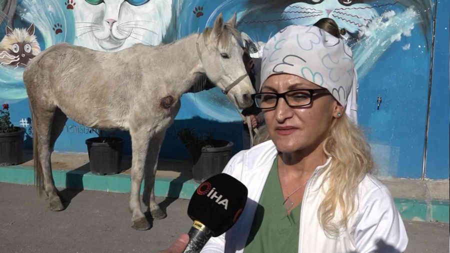 H�rs�zl�k yapanlar �iddet uygulay�p �l�me terk etti