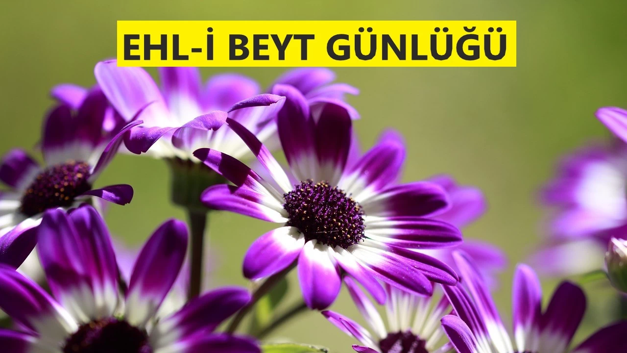 Hüccet, kulları birleştirip kaynaştırır