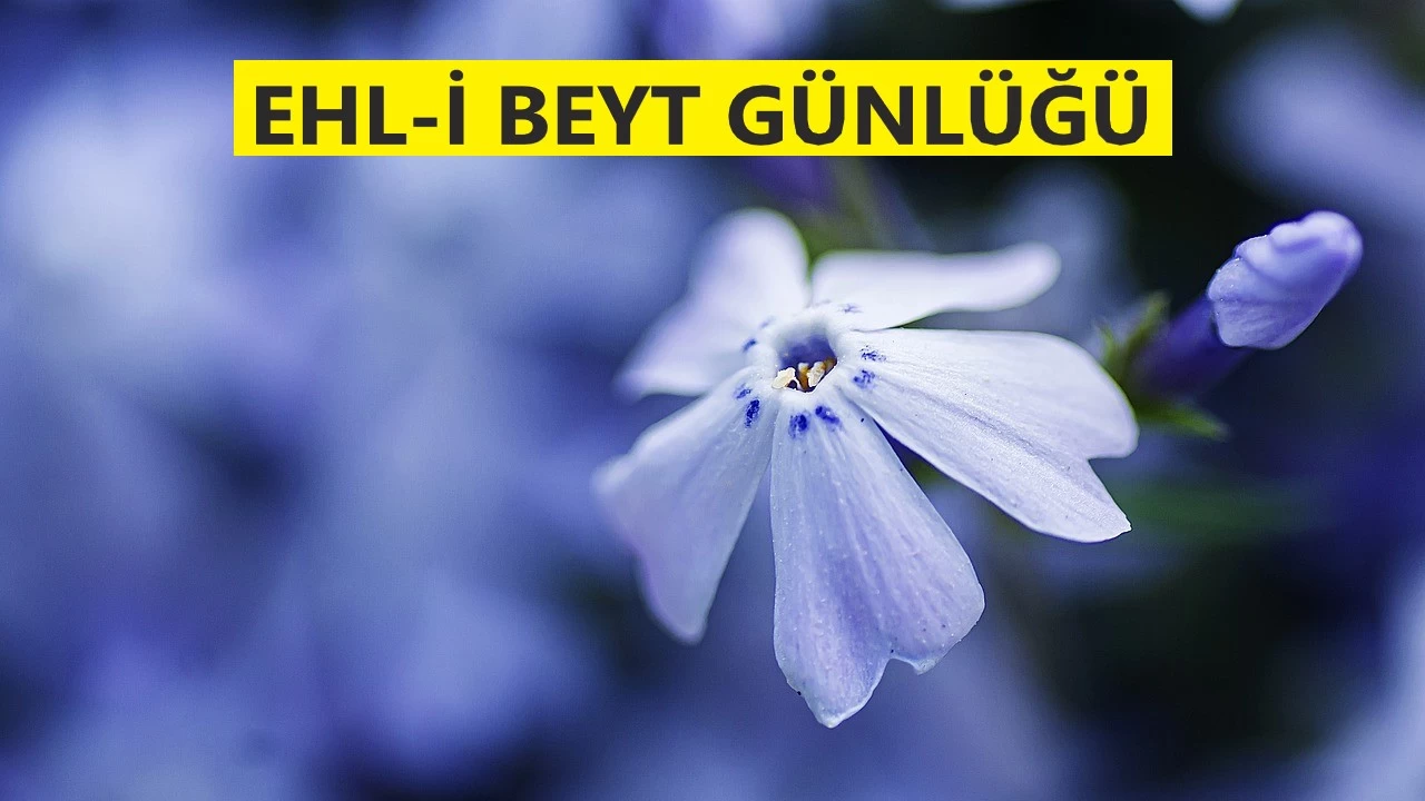 Hz. Ali�nin ikazlar�n� dinlemedi