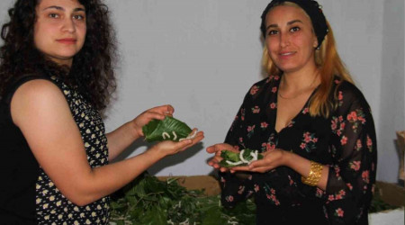 İki kadın arkadaş , ipek böcekçiliğine başladı, 45 günde 34 bin lira kazanacaklar