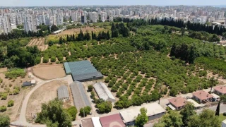 İktidar 'destan yazdık' diyor, gerçekler başka şeyler söylüyor