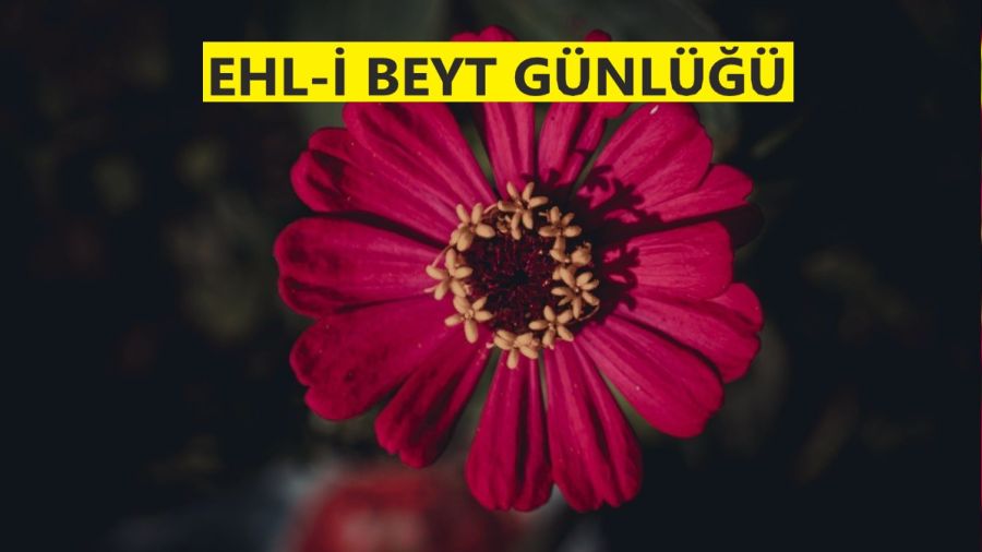 ‘İmamet, Ali (a.s)’ın soyunda bâki kalacaktır’