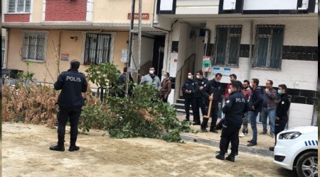 zinsiz kesilen aa ortal sava alanna evirdi