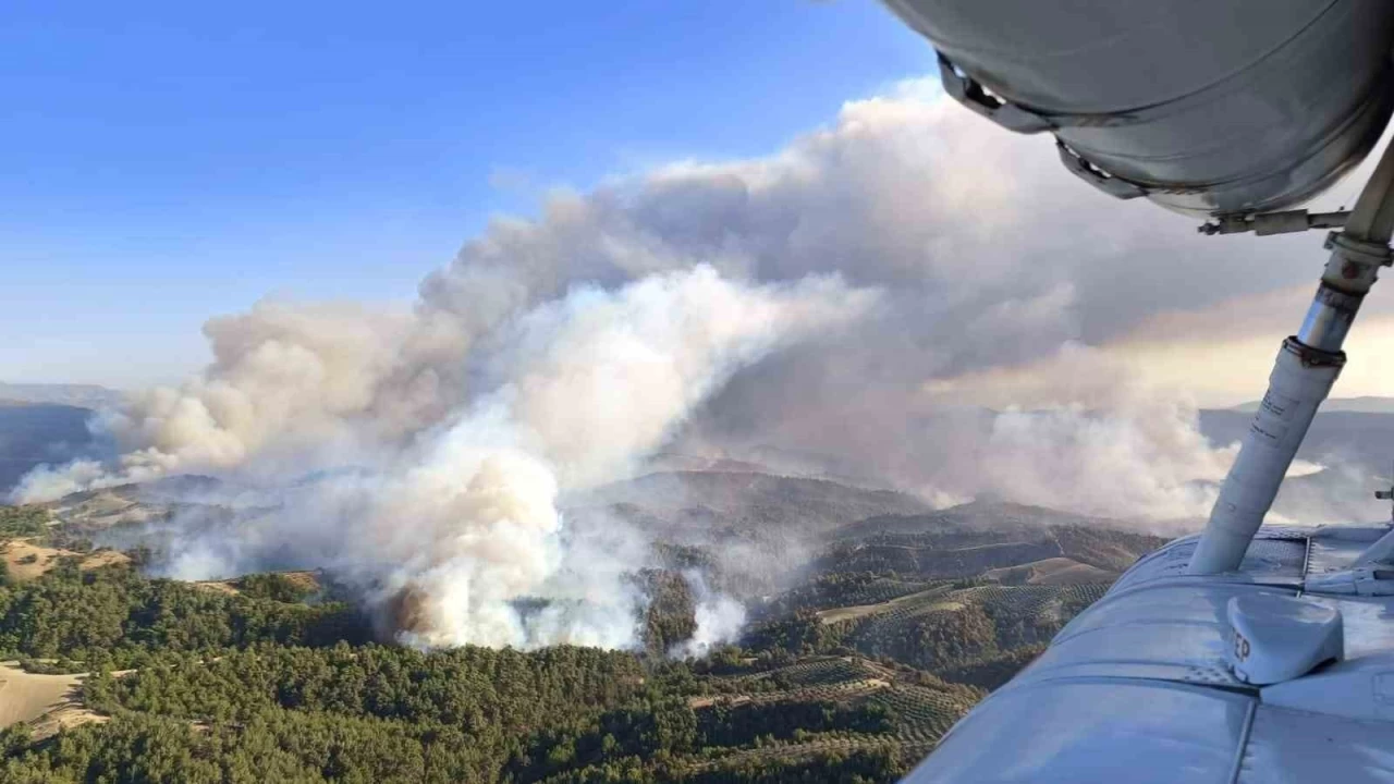 İzmir ve Manisa'daki orman yangınlarına müdahale sürüyor