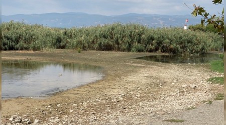 İznik Gölündeki kuraklık korkutuyor