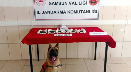 Jandarmadan uyuşturucu operasyonları: 37 gözaltı