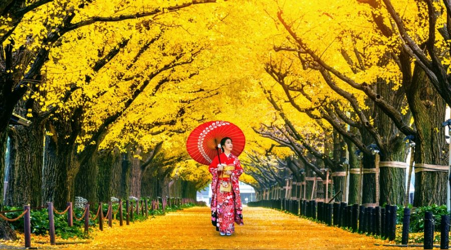 Japonya d�nyaya kap�lar�n� kapat�yor