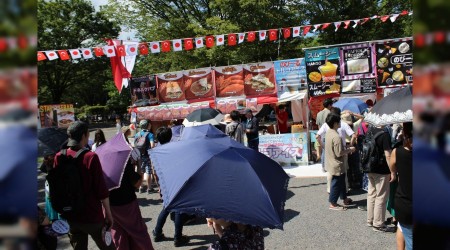 Japonya'da Türkiye Yılı