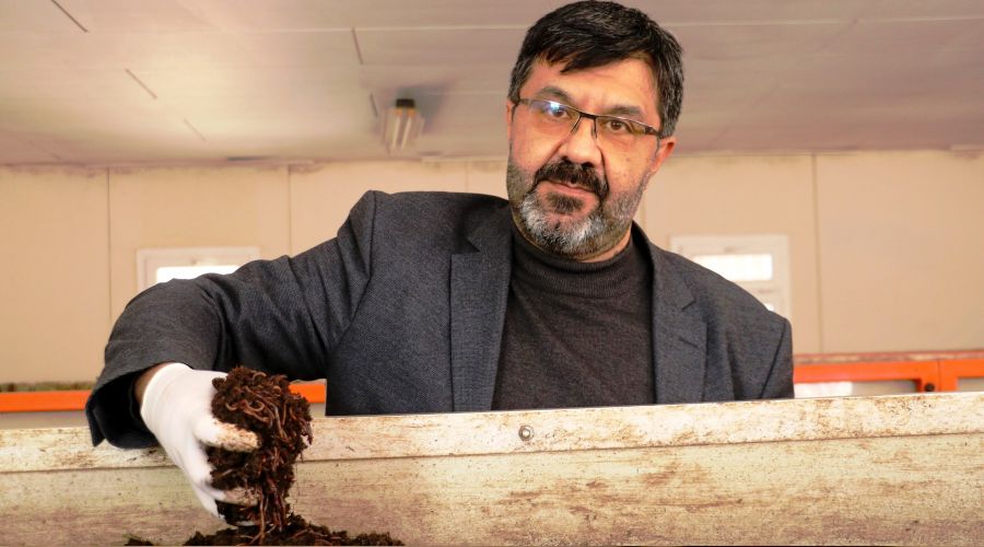 Kadnlar solucanlarla gzelletirmek iin alyorlar