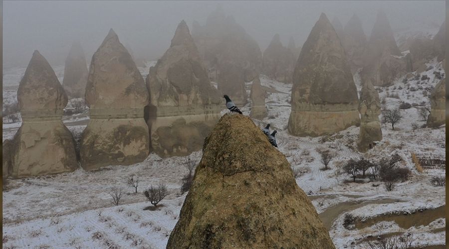 Kapadokya'da kar ve sis b�y�ledi