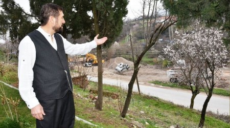 Kar ve don çiçek açan ağaçları etkiledi