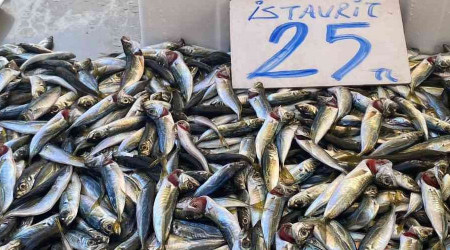 Karadenizli balıkçılar sezondan umduğunu bulamadı