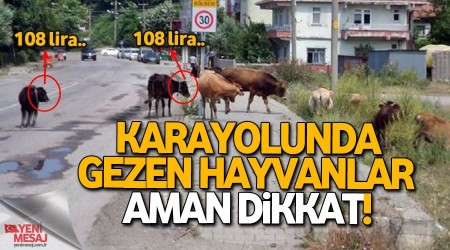 Karayolunda gezen hayvanlara ceza yağdı