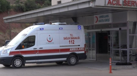 Karayolunda pheli lm
