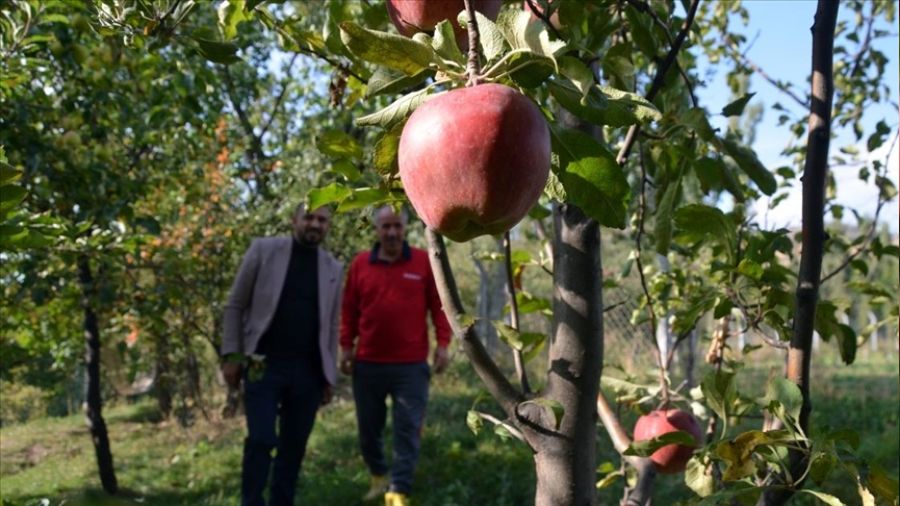  Karsl� �reticiler pazar bulam�yor