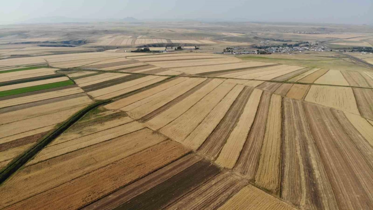 Kars'ta tar�m arazileri hal� deseni gibi rengarenk