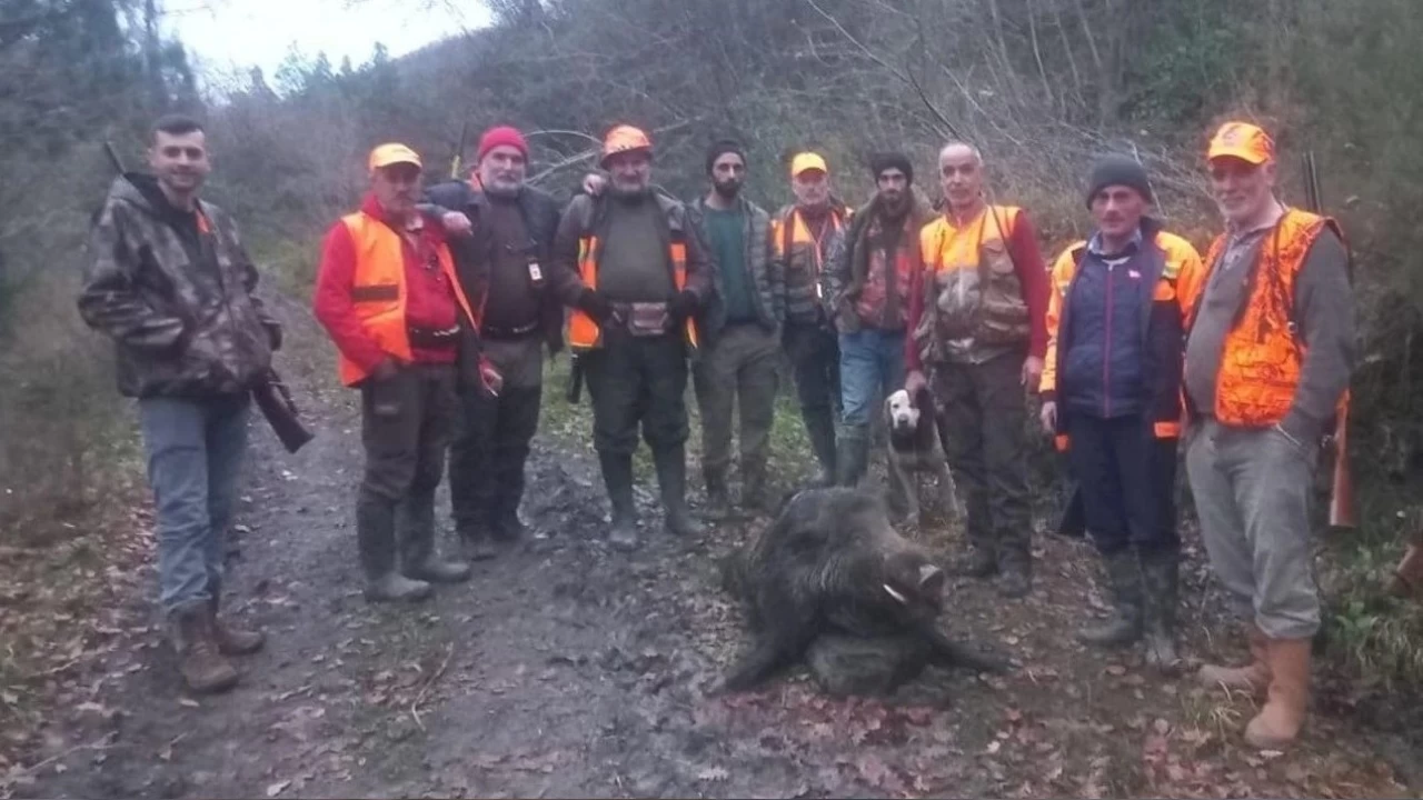 Kastamonu'da domuzun saldırdığı adam ağır yaralandı