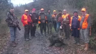Kastamonu'da domuzun saldırdığı adam ağır yaralandı