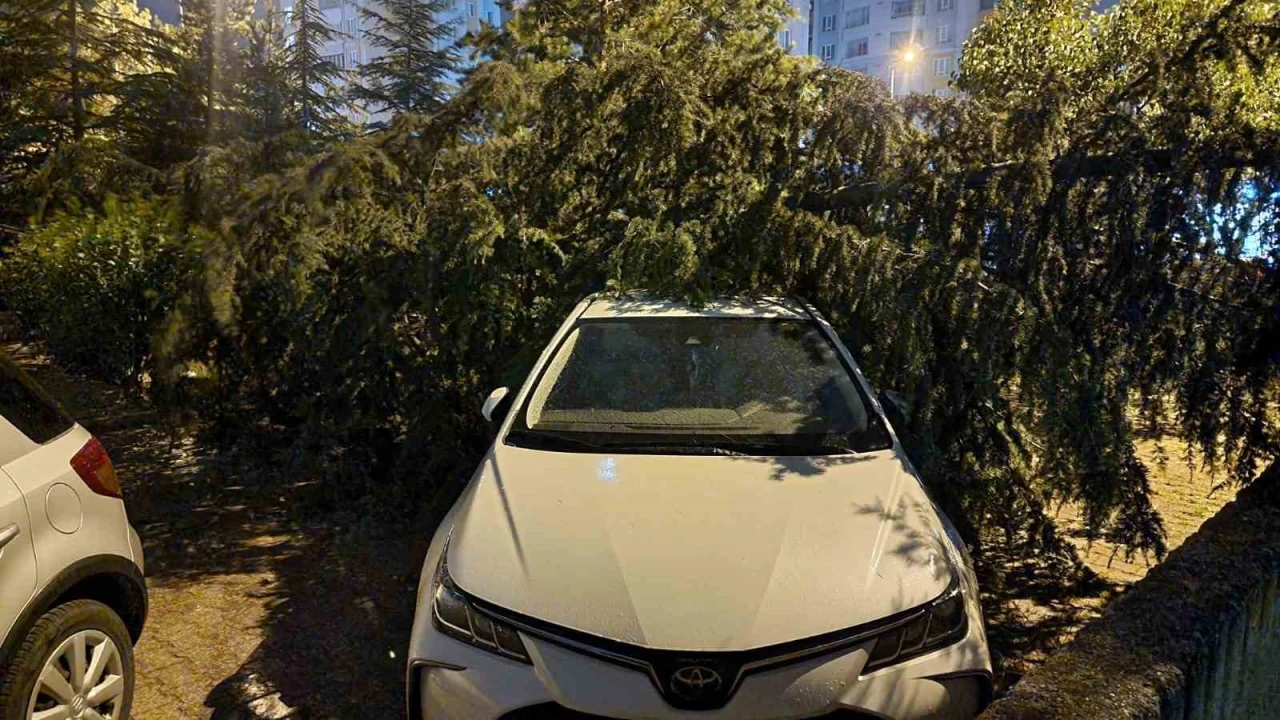 Kayseri'de iddetli rzgar aalar devirdi, vatandalar yolda mahsur kald