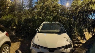 Kayseri'de iddetli rzgar aalar devirdi, vatandalar yolda mahsur kald
