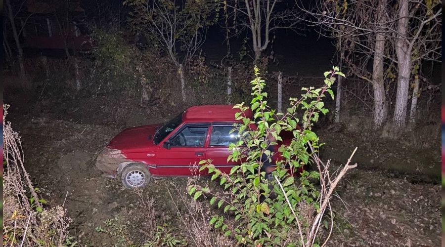 Kazlar kaza yapt�rd�