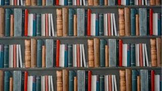 Kitap kurtları için 7 klasik roman önerisi