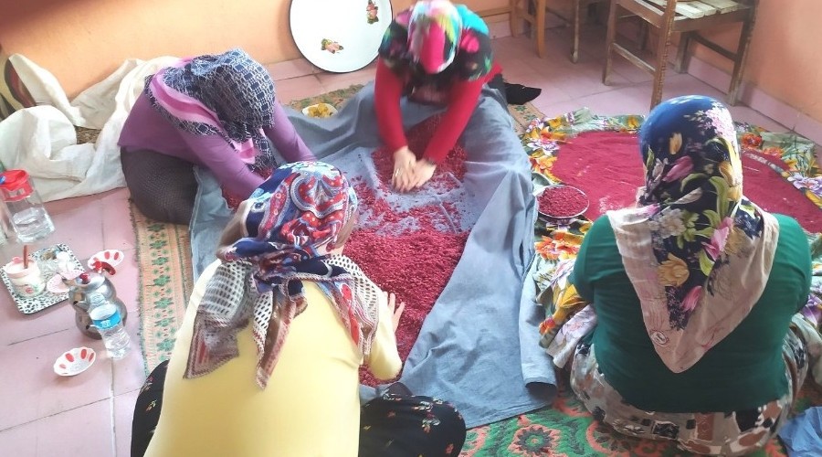 Kızılcık tarhanası yapımı