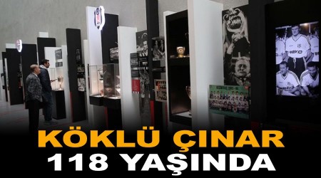 Köklü çınar 118 yaşında