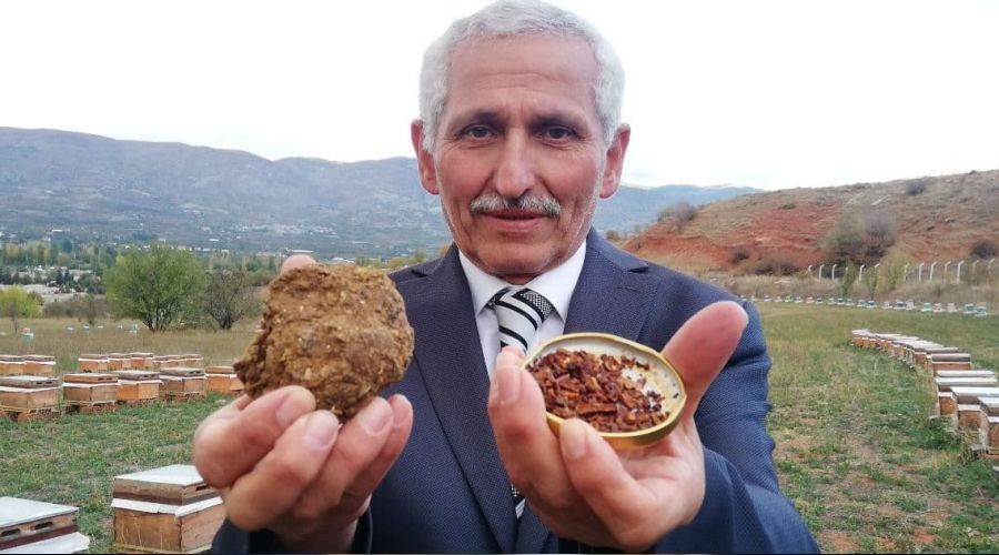 Korona sonrası talep arttı, litresi 2 bin lira