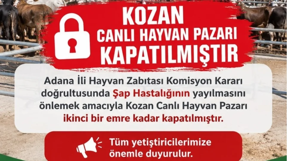 Kozan canl� hayvan pazar� �ap hastal��� nedeniyle kapat�ld�