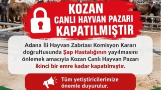 Kozan canl� hayvan pazar� �ap hastal��� nedeniyle kapat�ld�