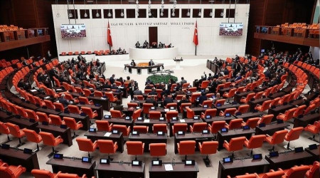 Kritik düzenleme Meclis'ten geçti