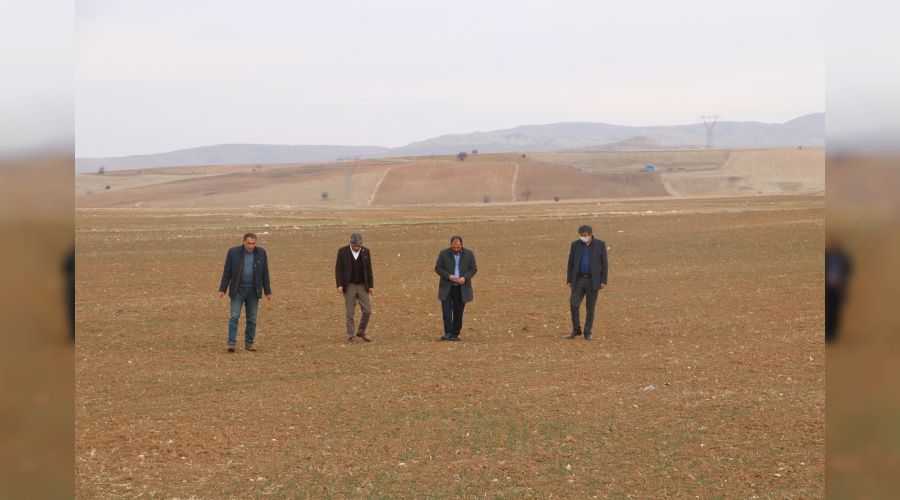 Kuraklık buğdayı da vuracak