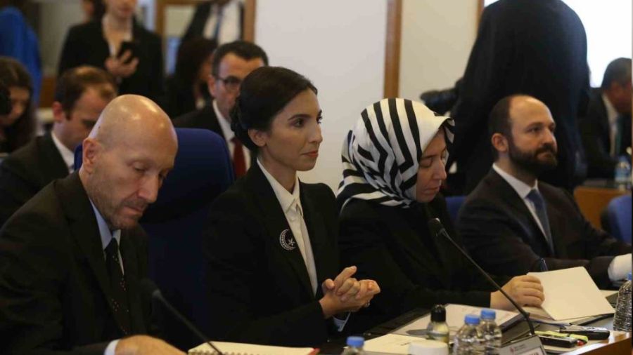 'Liraya ge�i� stratejisi ba�ar�yla ilerliyor'