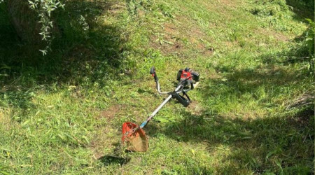 Makineyle ot biçen kadın gürültü nedeniyle komşusu tarafından vuruldu