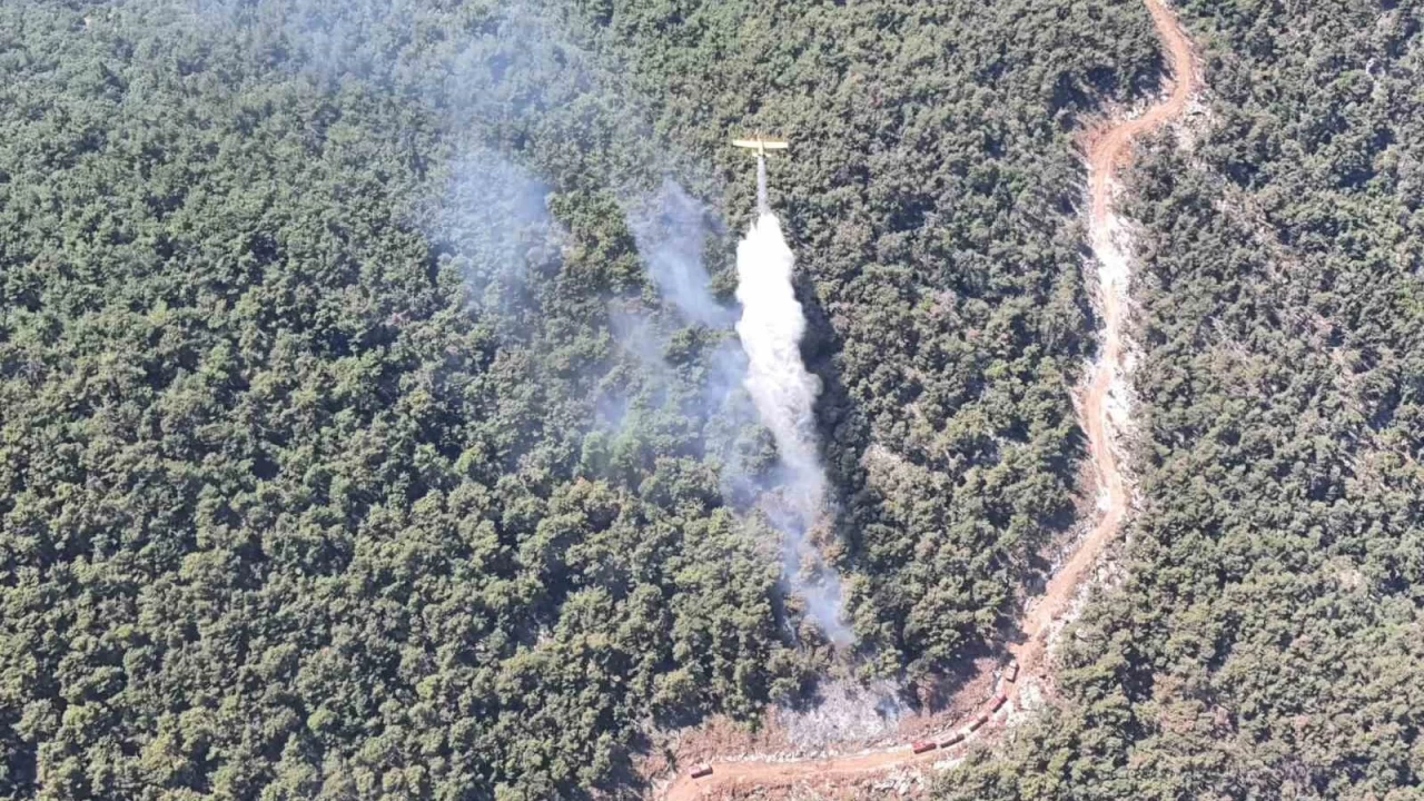 Manisa'daki orman yangını kontrol altına alındı