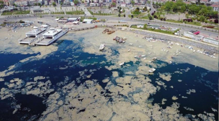 Marmara Denizi'nde mevcut hal devam ederse denizin ölümüne sebep olabileceği ifade ediliyor