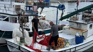 Marmara'da balıkçılar erken paydos etti!