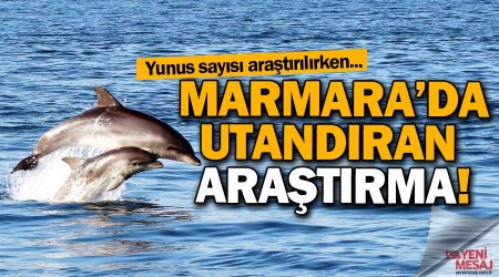 Marmara'da yunustan ok p var